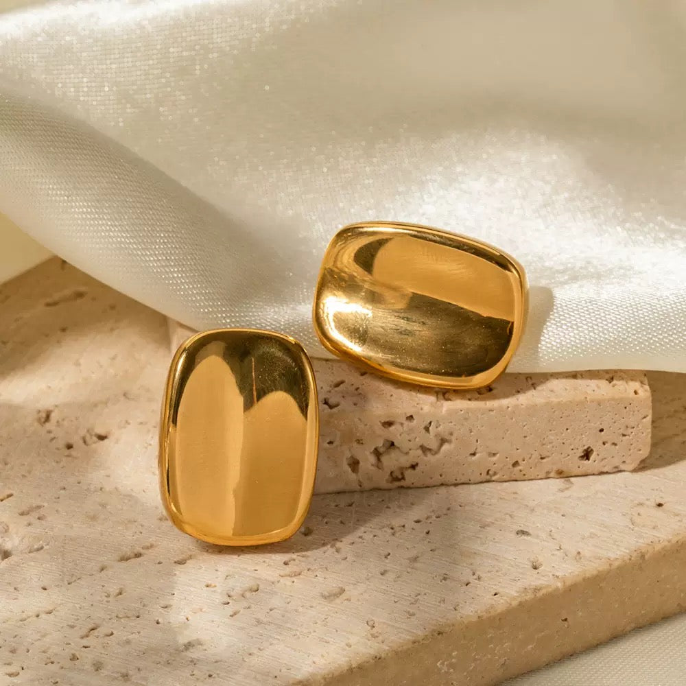 Boucles d'Oreilles OGN070-1