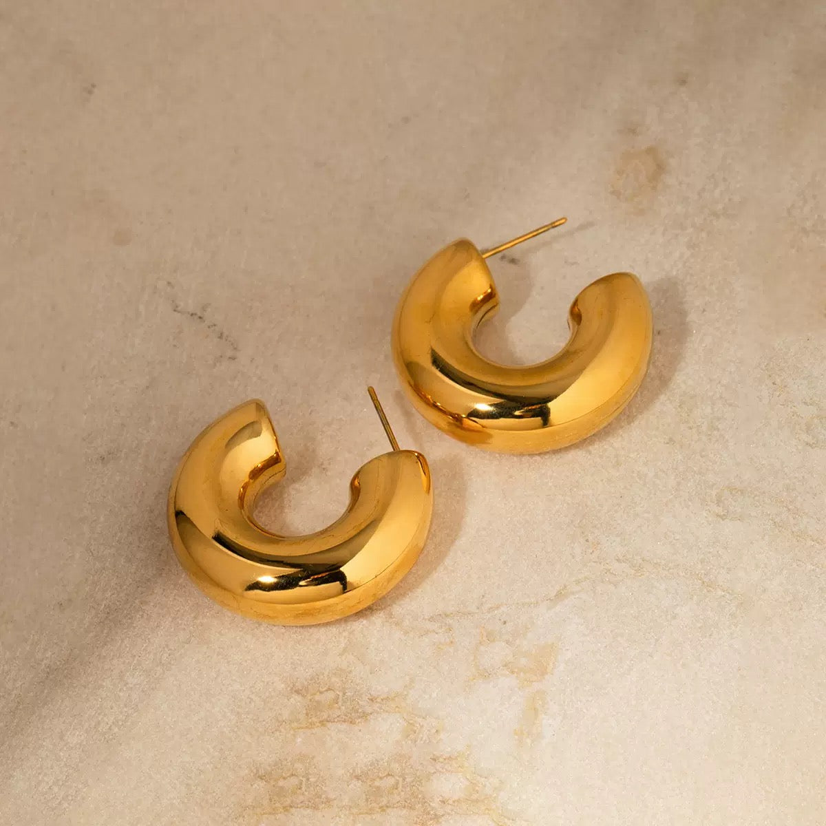 Boucles d'Oreilles OGN053