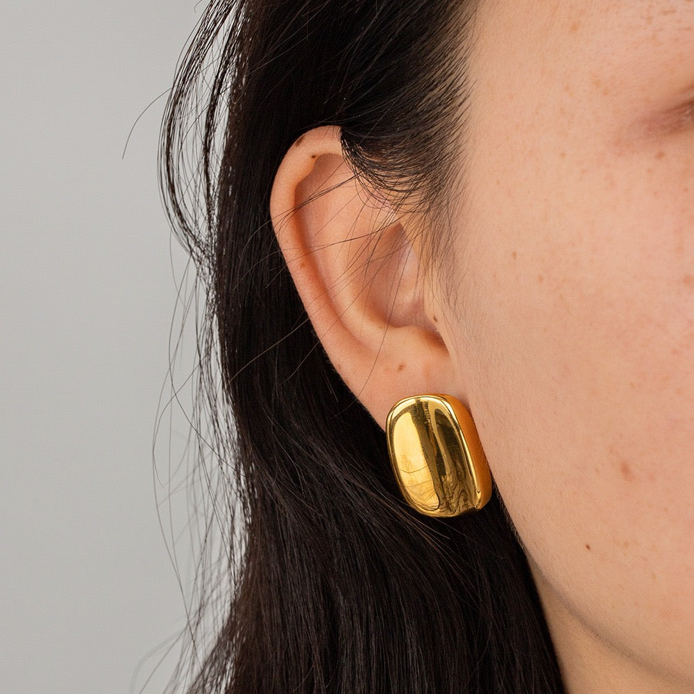 Boucles d'Oreilles OGN070-1