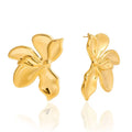 Boucles d'Oreilles de luxe plaqué or OGN098